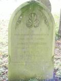 image of grave number 204613